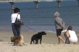 Kurstrand in Ahlbeck auf der Insel Usedom