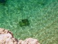 Praia do Carvalho - Carvoeiro glasklares Wasser ohne Verschmutzung Algen und Seetang