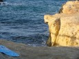 Badeurlaub Kreta