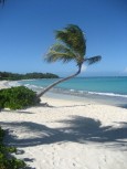 Karibikstrand, St Johns - Pasture Beach 