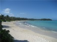 St Johns - Pasture Beach Palmenwald Luxus pur in der Karibik