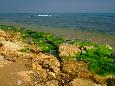 Felsen am Strand von Triscina