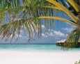 Hochzeitsreise auf den Malediven