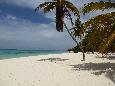 Canto de la Playa, Isla Saona, Dom.Rep.