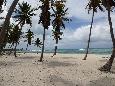 Canto de la Playa, Isla Saona, Dom.Rep