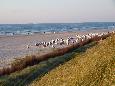 Spiekeroog Badestrand