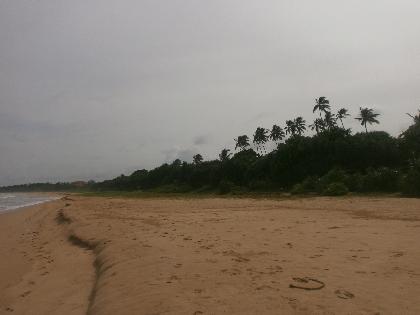 Bentota Beach